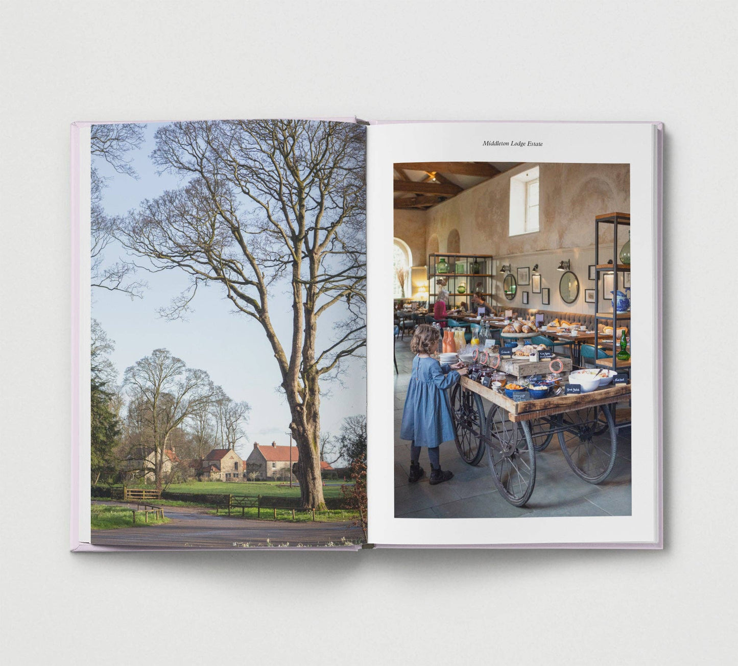 British Family Escapes Book by Alice Tate