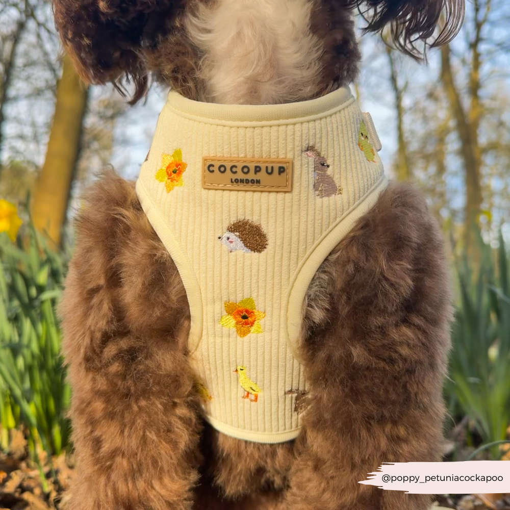 Embroidered Spring Animals Woodland Walkies Adjustable Neck Dog Harness - Cocopup