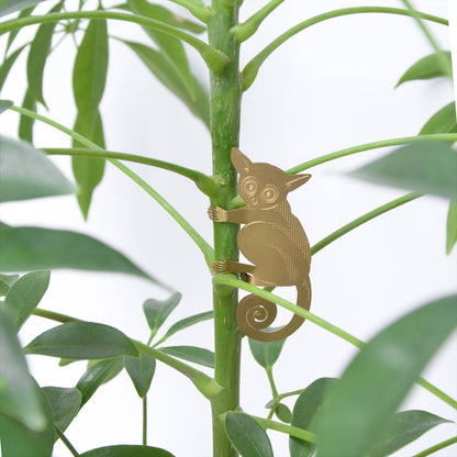 House Plant Animal - Bush Baby