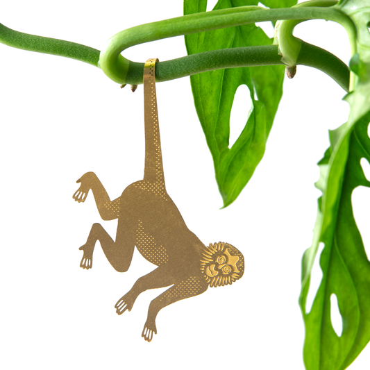 House Plant Animal - Spider Monkey