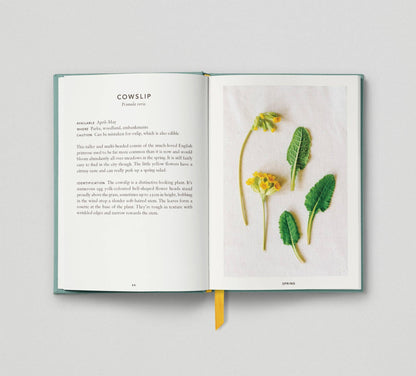 The Urban Forager: Find and Cook Wild Food in the City by Wross Lawrence & Marco Kesseler Book