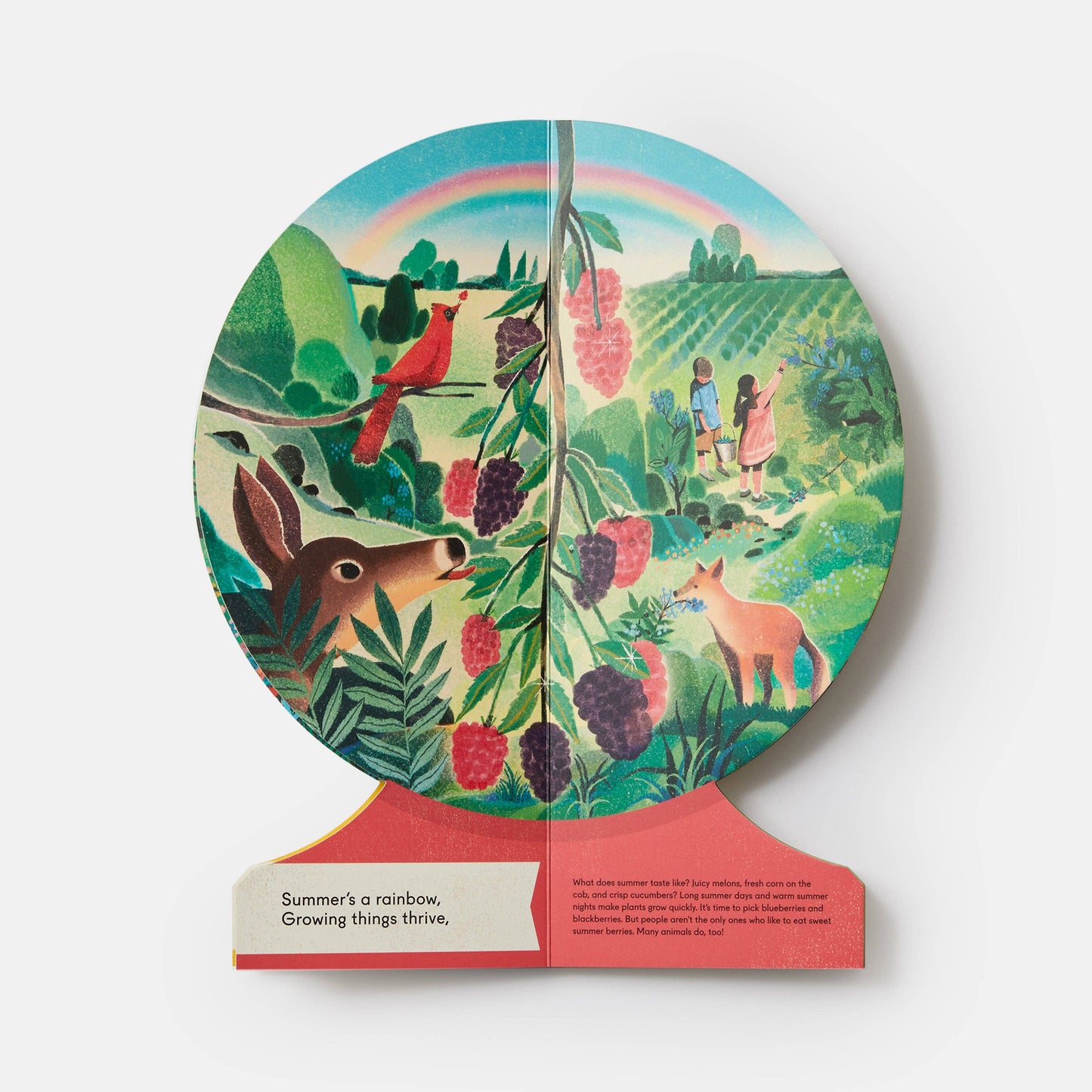 Our Seasons: The World in Winter Spring Summer and Autumn Childrens Book Globe