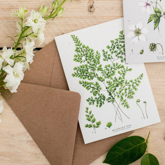 Maidenhair Fern Botanical Art Card