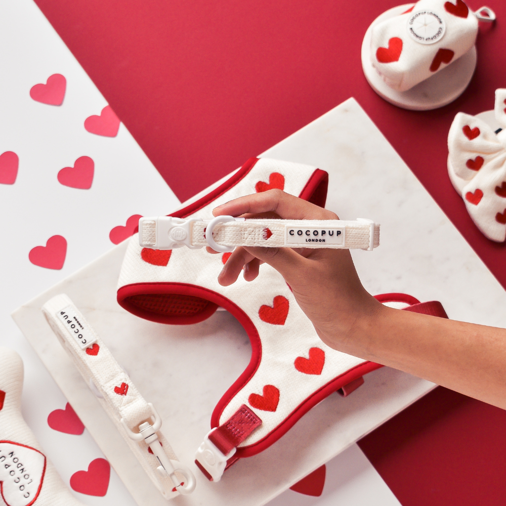 Love Hearts Hugs & Knitted Dog Collar - Cocopup