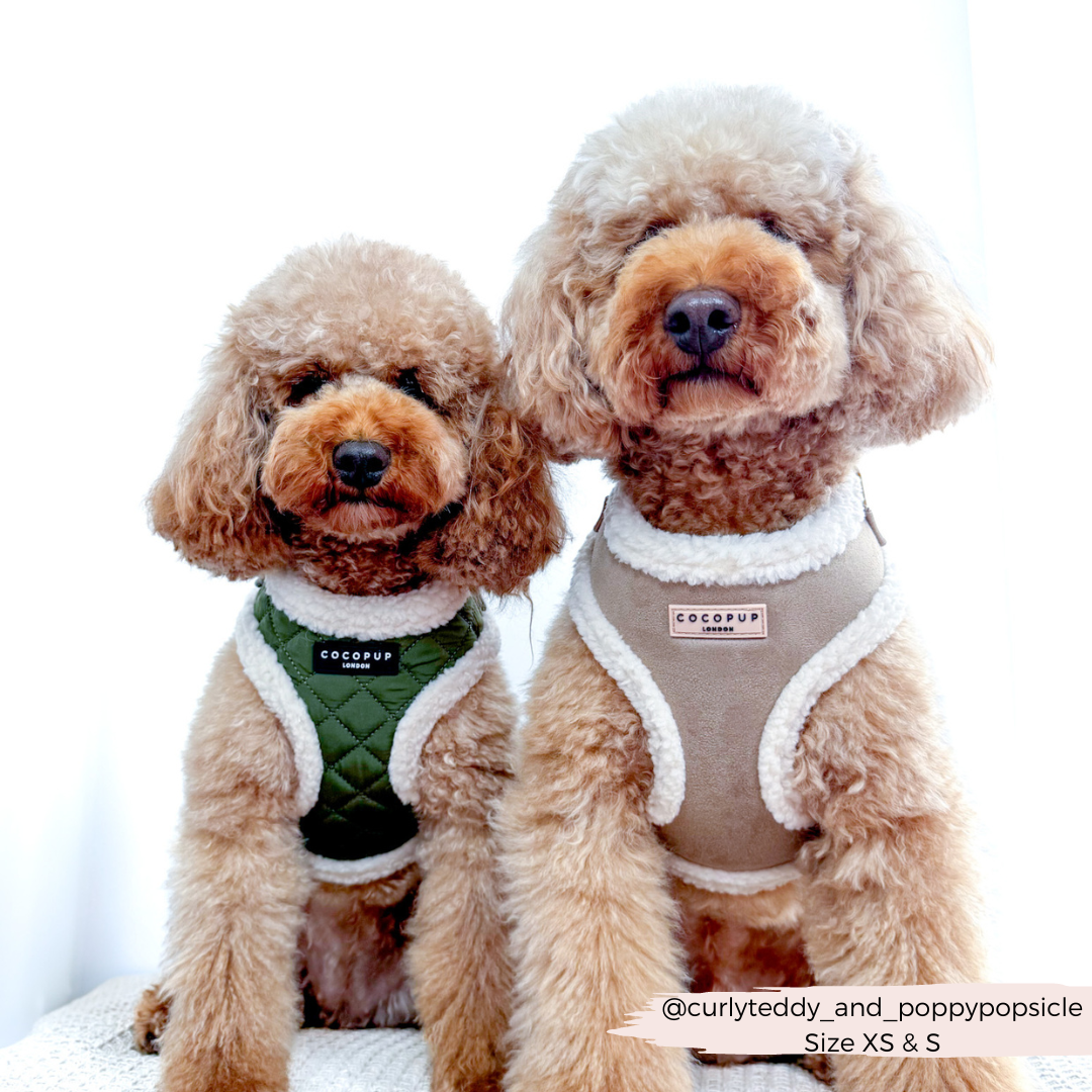 Khaki Quilted Adjustable Neck Dog Harness - Cocopup
