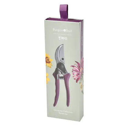 RHS Gift Boxed Secateurs Asteraceae