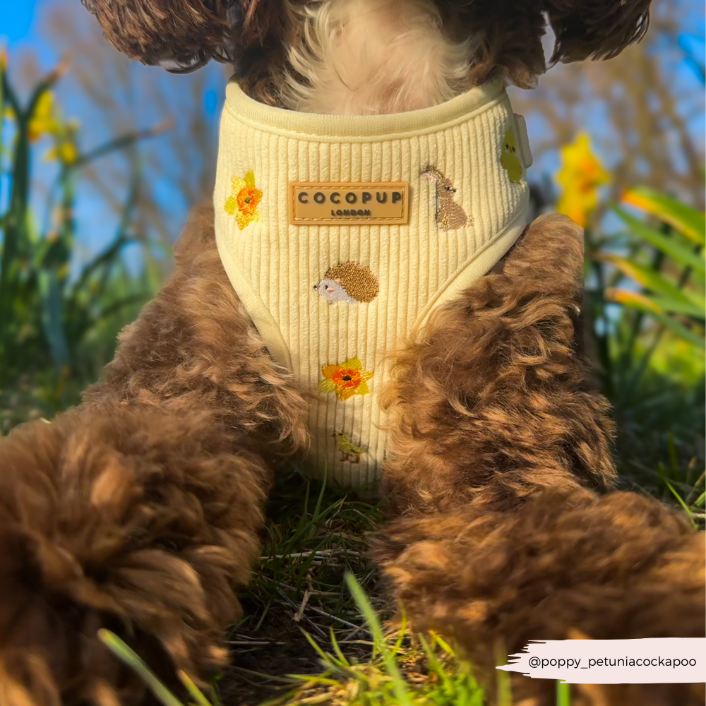 Embroidered Spring Animals Woodland Walkies Adjustable Neck Dog Harness - Cocopup