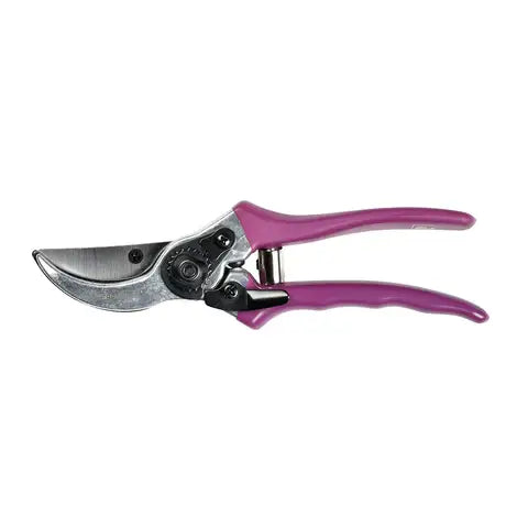 RHS Gift Boxed Secateurs Asteraceae