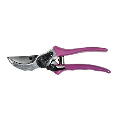 RHS Gift Boxed Secateurs Asteraceae