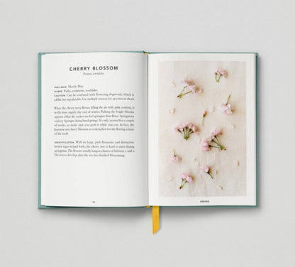 The Urban Forager: Find and Cook Wild Food in the City by Wross Lawrence & Marco Kesseler Book