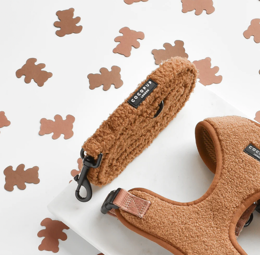 Teddy Dog Lead - Caramel