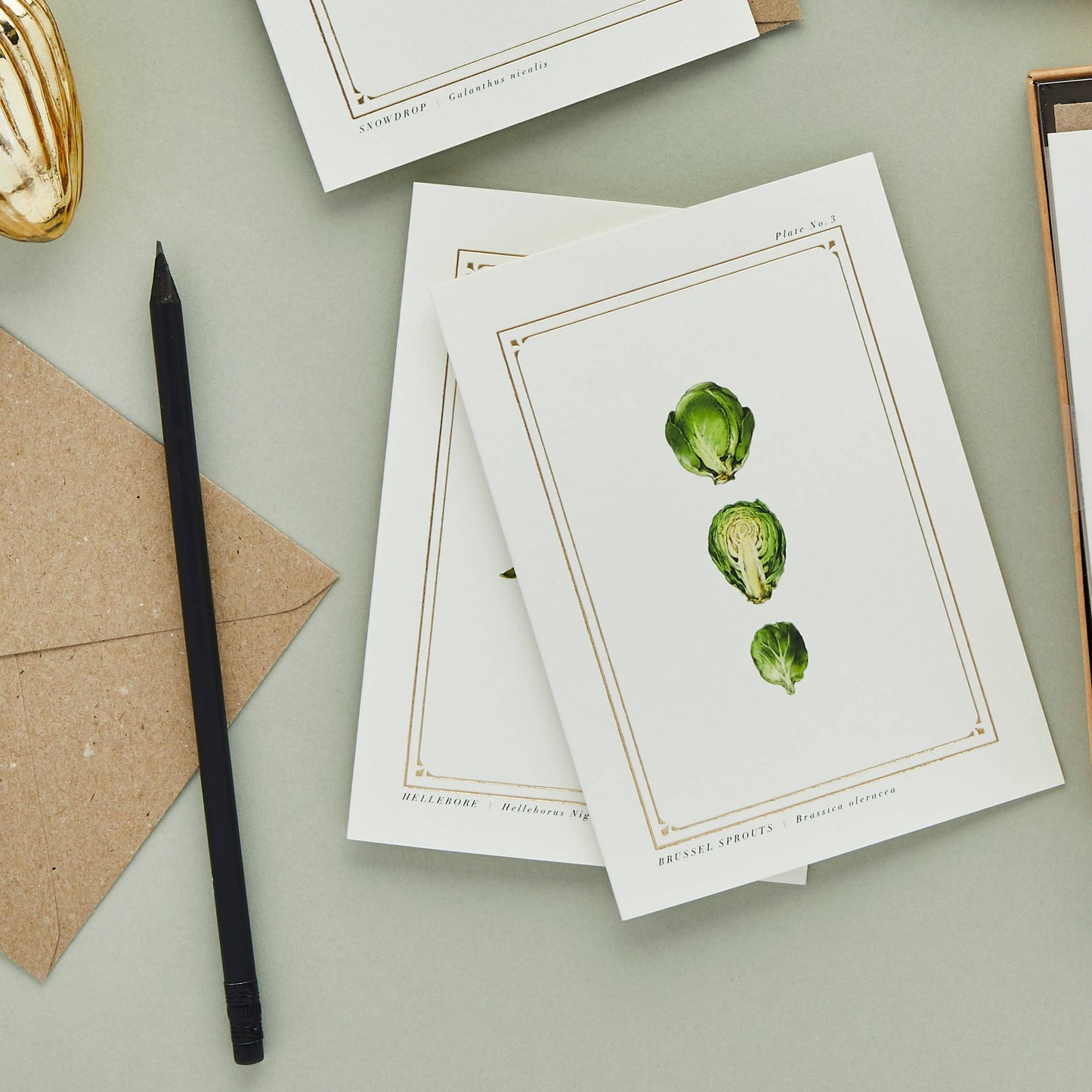 Brussel Sprouts -The Botanist Archive :Festive Edition- Card