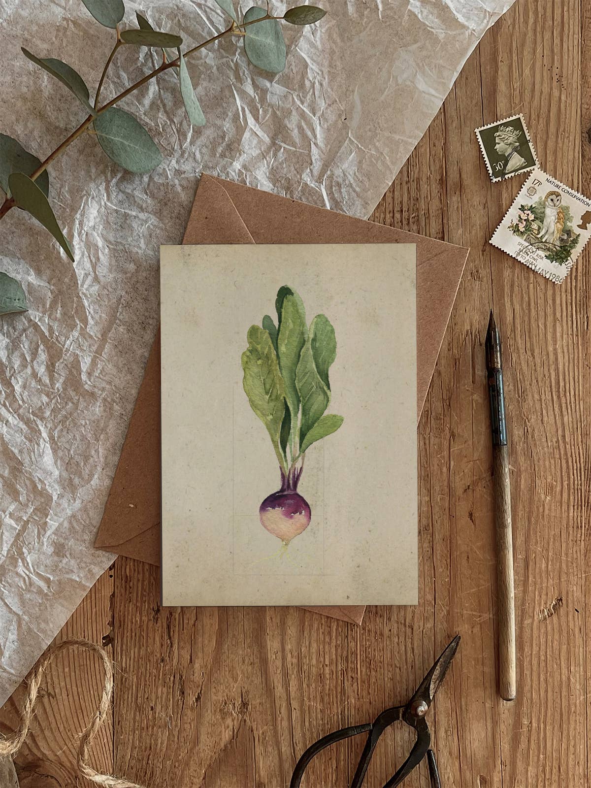 Radish Vegetable Vintage Style Card