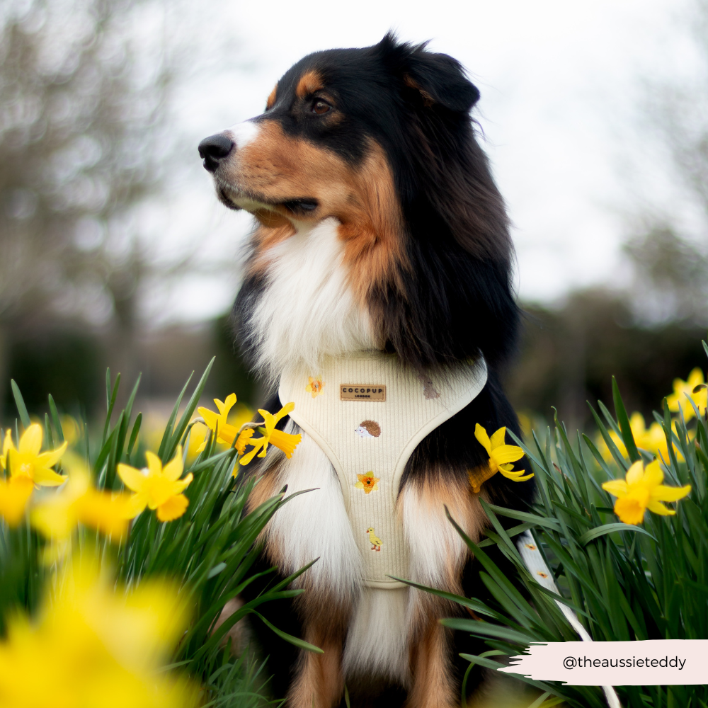 Embroidered Spring Animals Woodland Walkies Adjustable Neck Dog Harness - Cocopup
