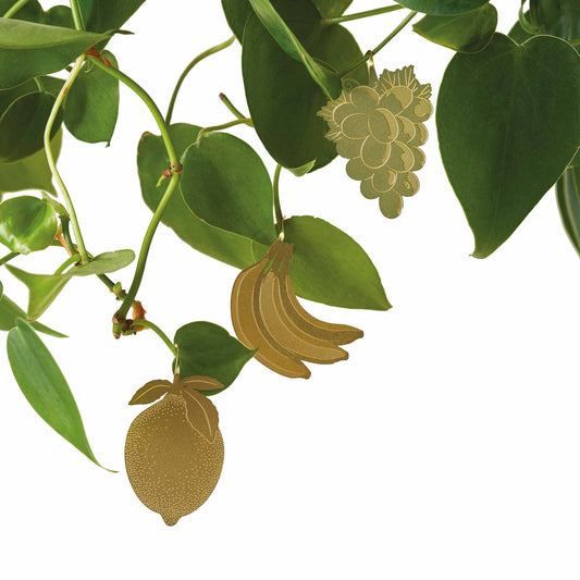 House Plant Decorations Lemon, Banana, Grapes