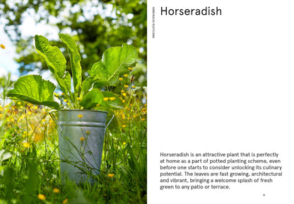 The Flowerpot Forager: An Easy Guide to Growing Wild Food at Home