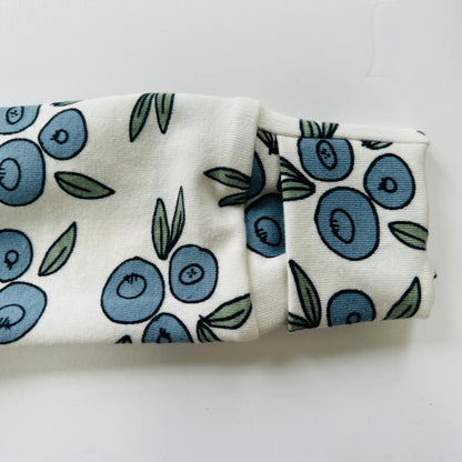 Blueberry Organic Cotton Baby Sleep Suit Onesie