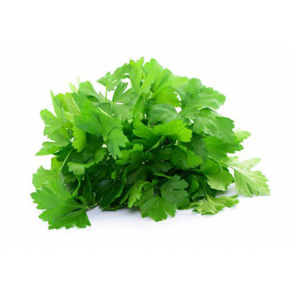 Piccolo Seeds - Parsley Gigante